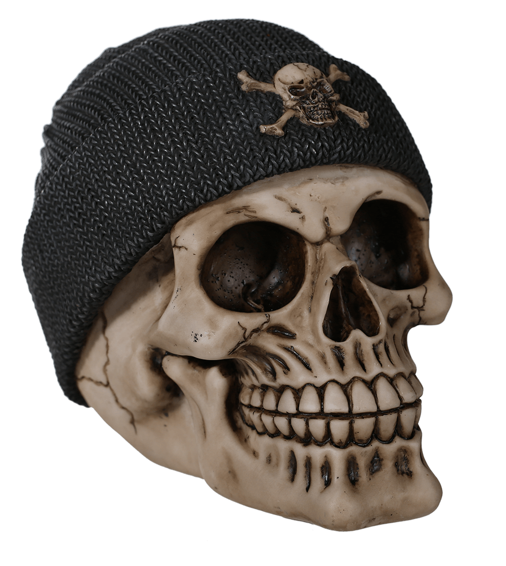 Polyresin savings bank, Skull with fishers hat,