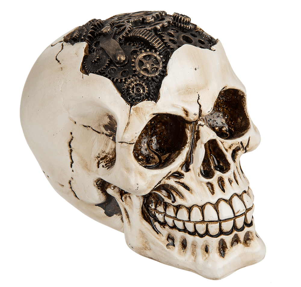 Polyresin skull, Cyborg Skull,