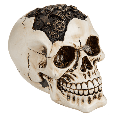 Polyresin skull, Cyborg Skull,