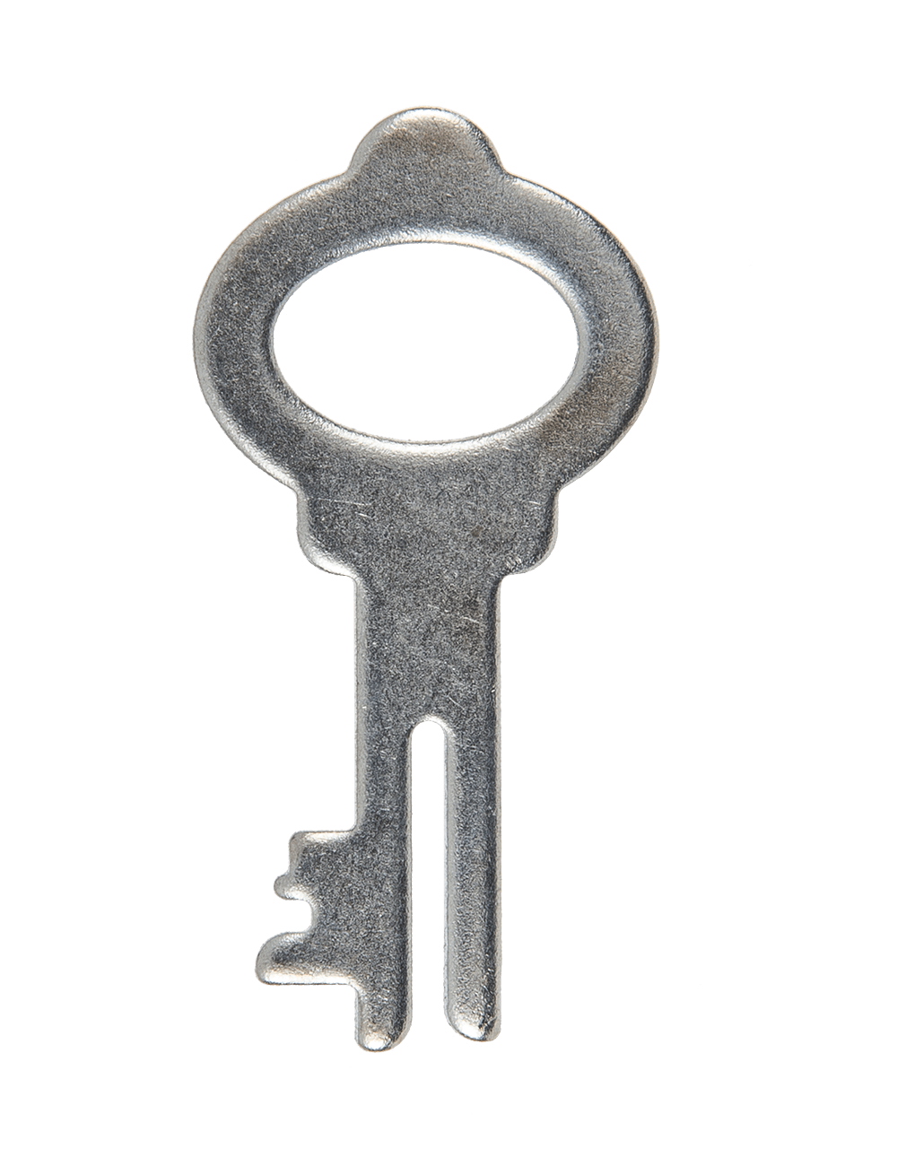 Savings bank with lock, Skull with leaves,