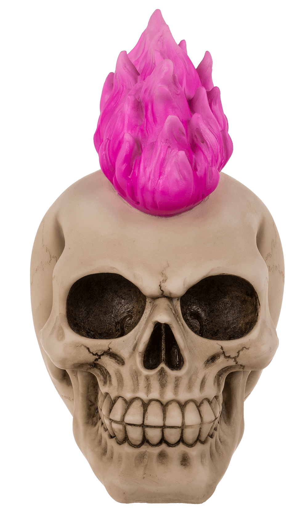 Savings bank with lock, Skull, Punk,