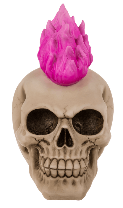 Savings bank with lock, Skull, Punk,