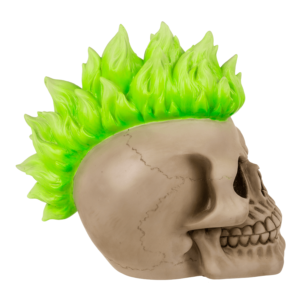 Savings bank with lock, Skull, Punk,