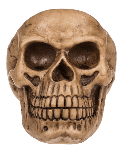 Skull Organiser, with Glasses Holder and