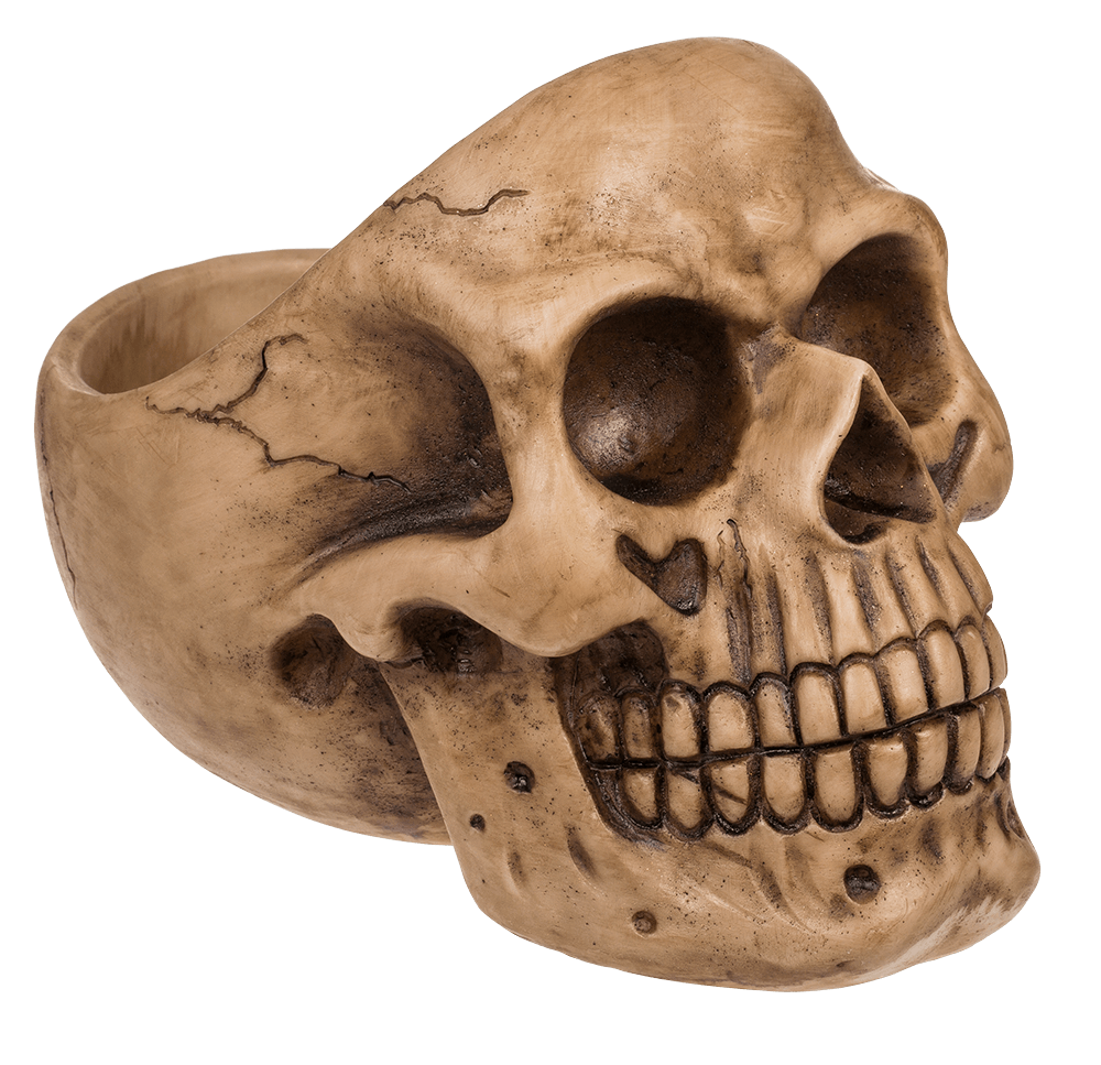 Skull Organiser, with Glasses Holder and