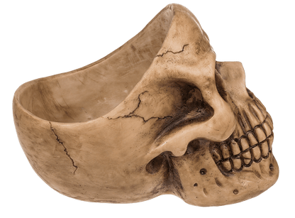 Skull Organiser, with Glasses Holder and