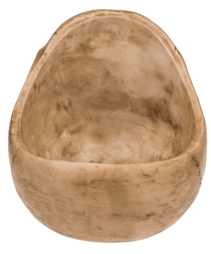 Skull Organiser, with Glasses Holder and