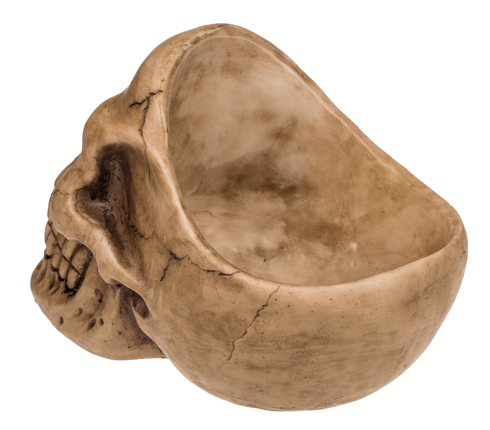 Skull Organiser, with Glasses Holder and