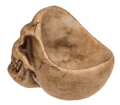 Skull Organiser, with Glasses Holder and