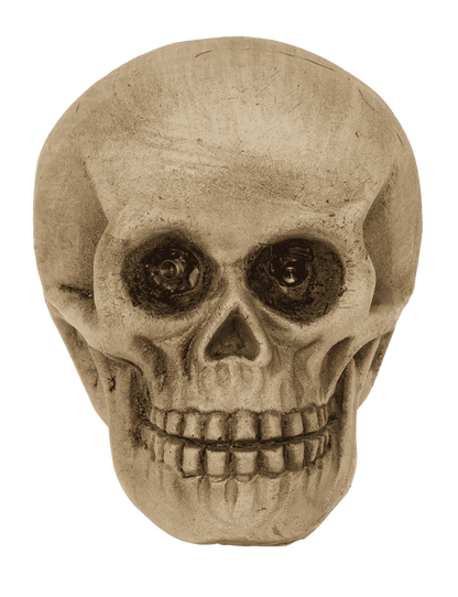 Polyresin Skull with red LED eye,