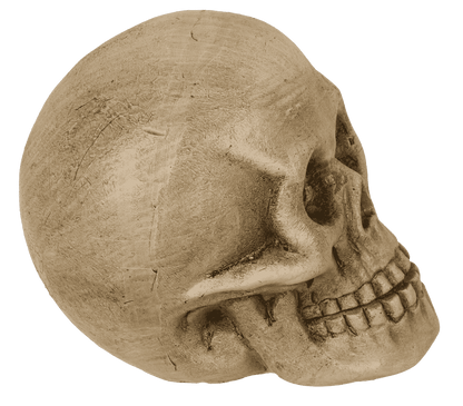 Polyresin Skull with red LED eye,