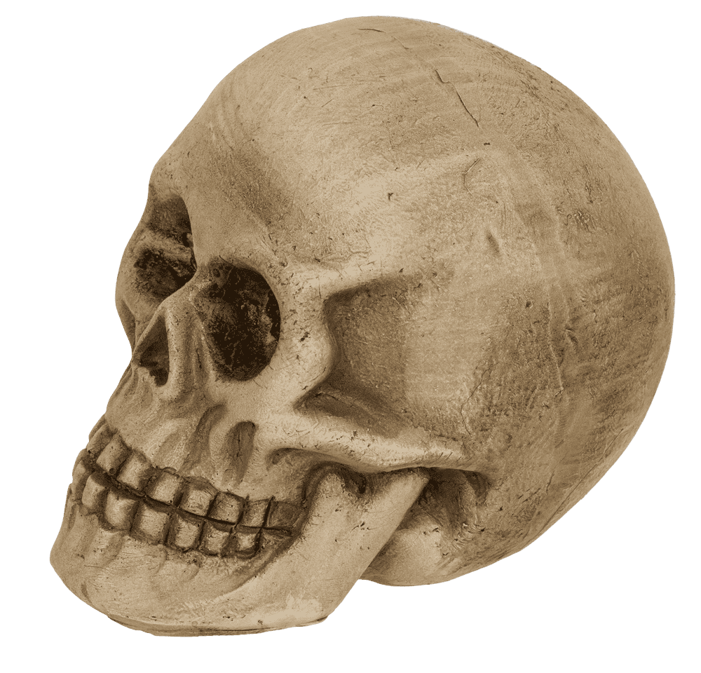 Polyresin Skull with red LED eye,