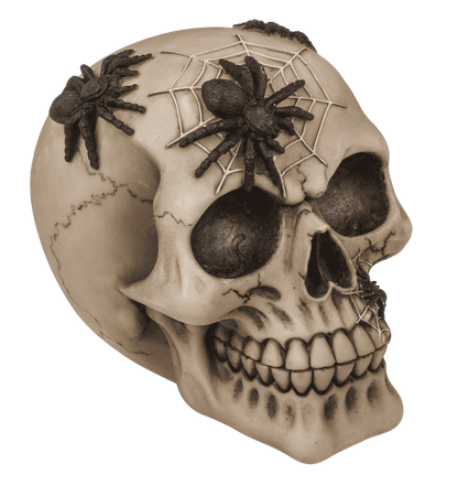 Saving bank with lock, skull with spiders,