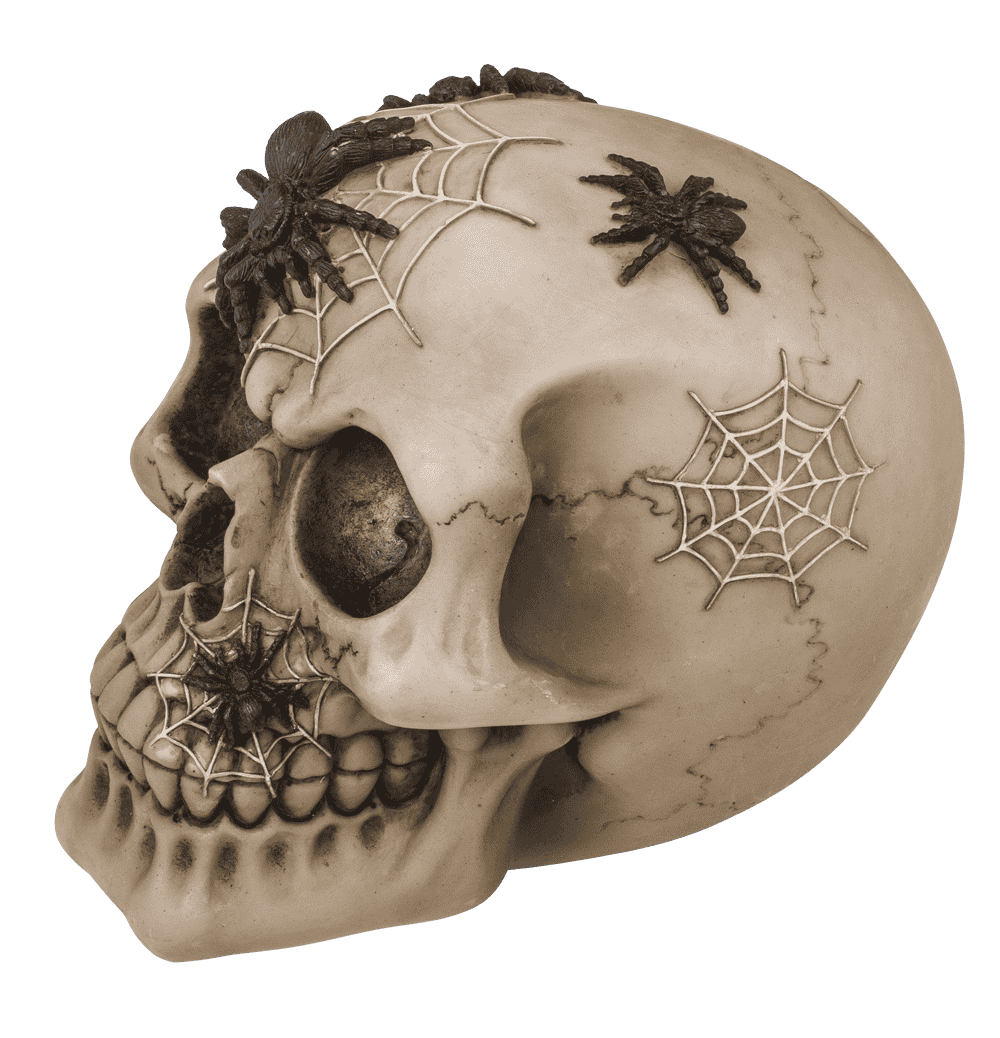 Saving bank with lock, skull with spiders,