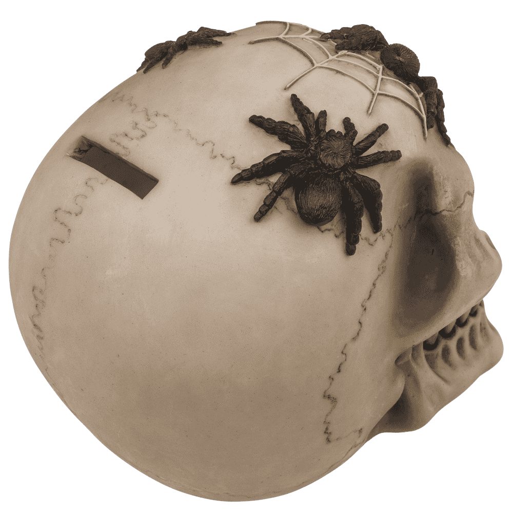 Saving bank with lock, skull with spiders,