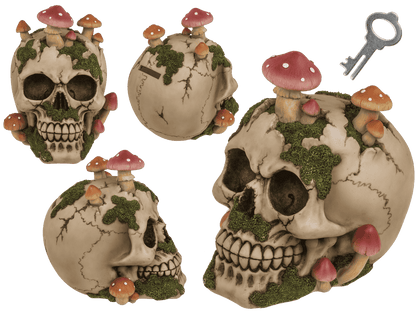 Savings bank with lock,Skull with mushroom growth,