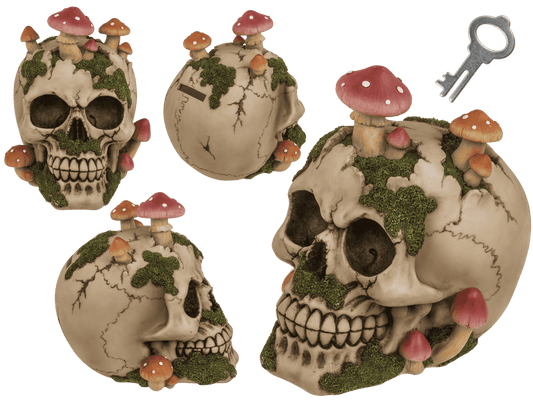 Savings bank with lock,Skull with mushroom growth,