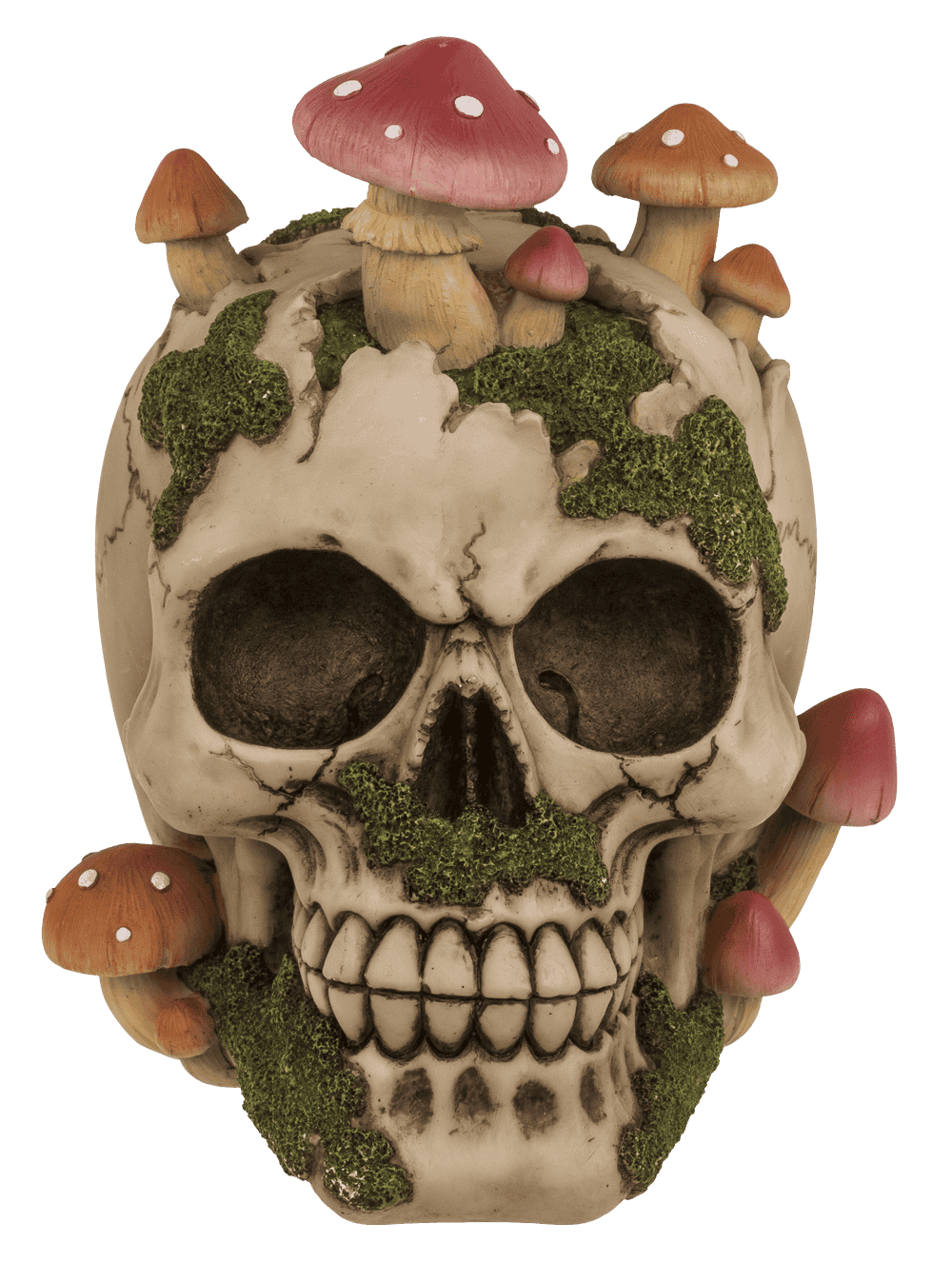 Savings bank with lock,Skull with mushroom growth,