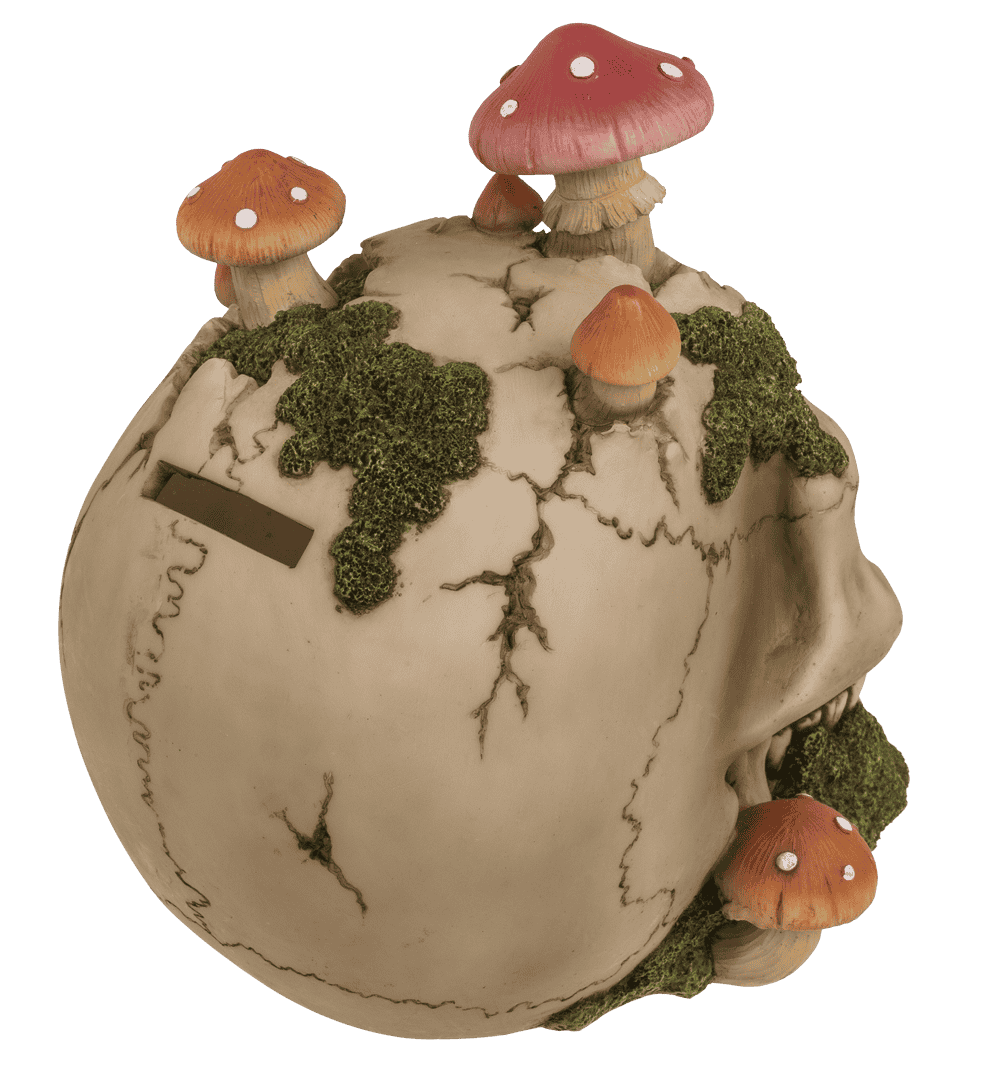 Savings bank with lock,Skull with mushroom growth,