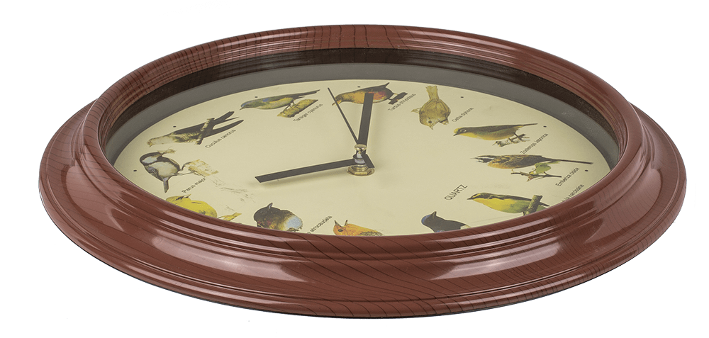 Wall Clock with bird sound,