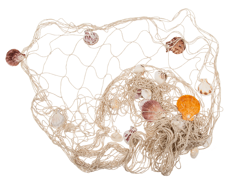 Fishing net with seashells, ca. 100 x 200 cm,
