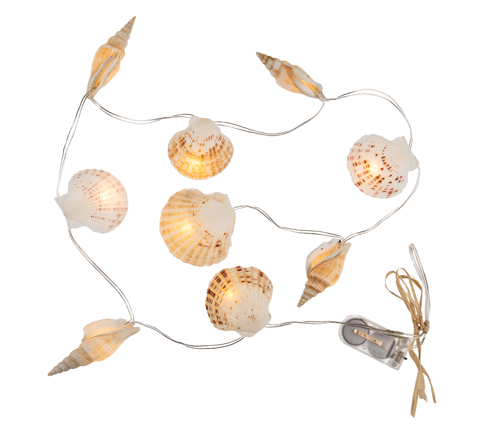 Light chain garland, shells,