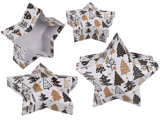 White star shaped gift box,