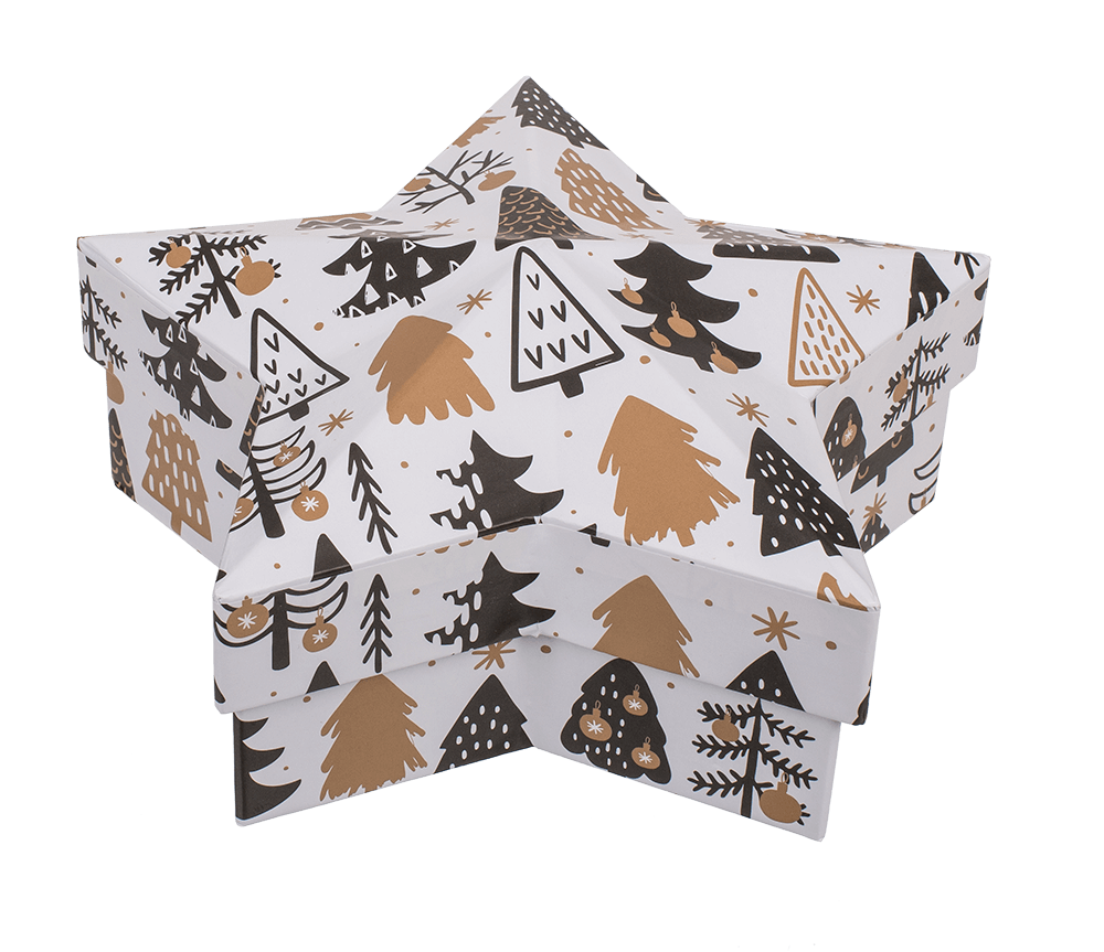 White star shaped gift box,