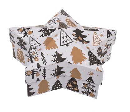White star shaped gift box,