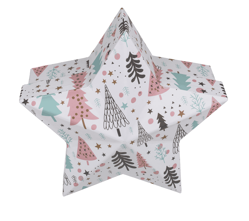 White star shaped gift box,