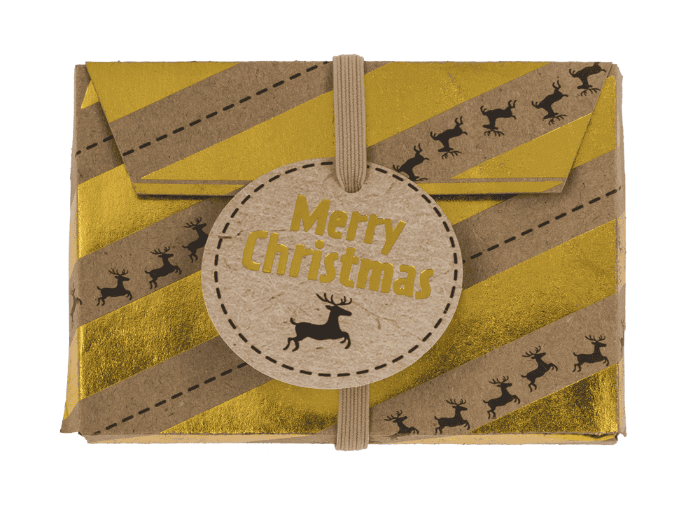 Gift envelope for money, set of 3, Merry Christmas