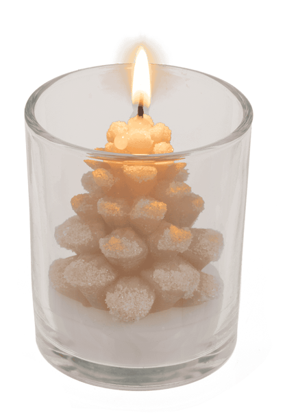 Candle, pine cone, in glass,