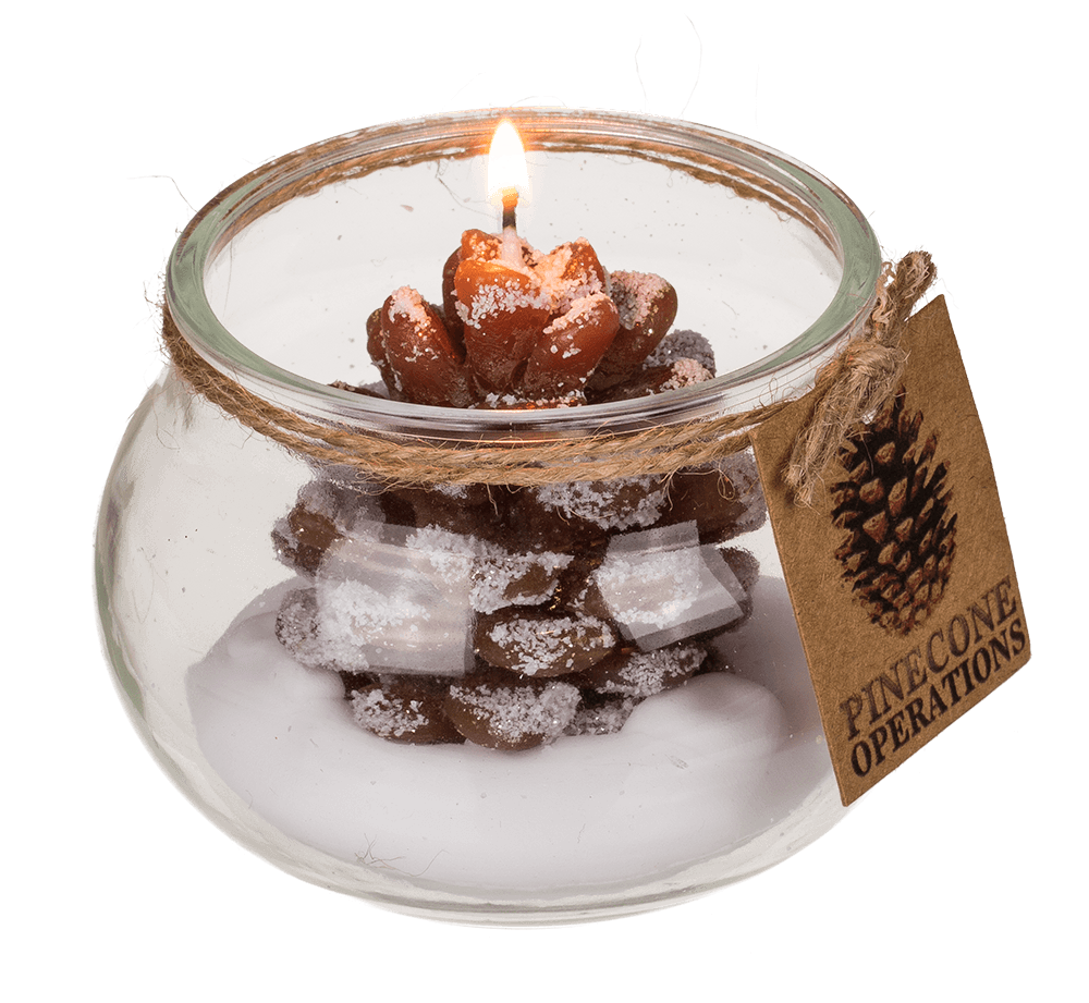 Candle, pinecone,