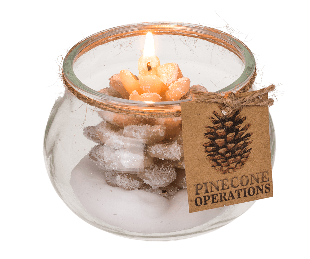Candle, pinecone,