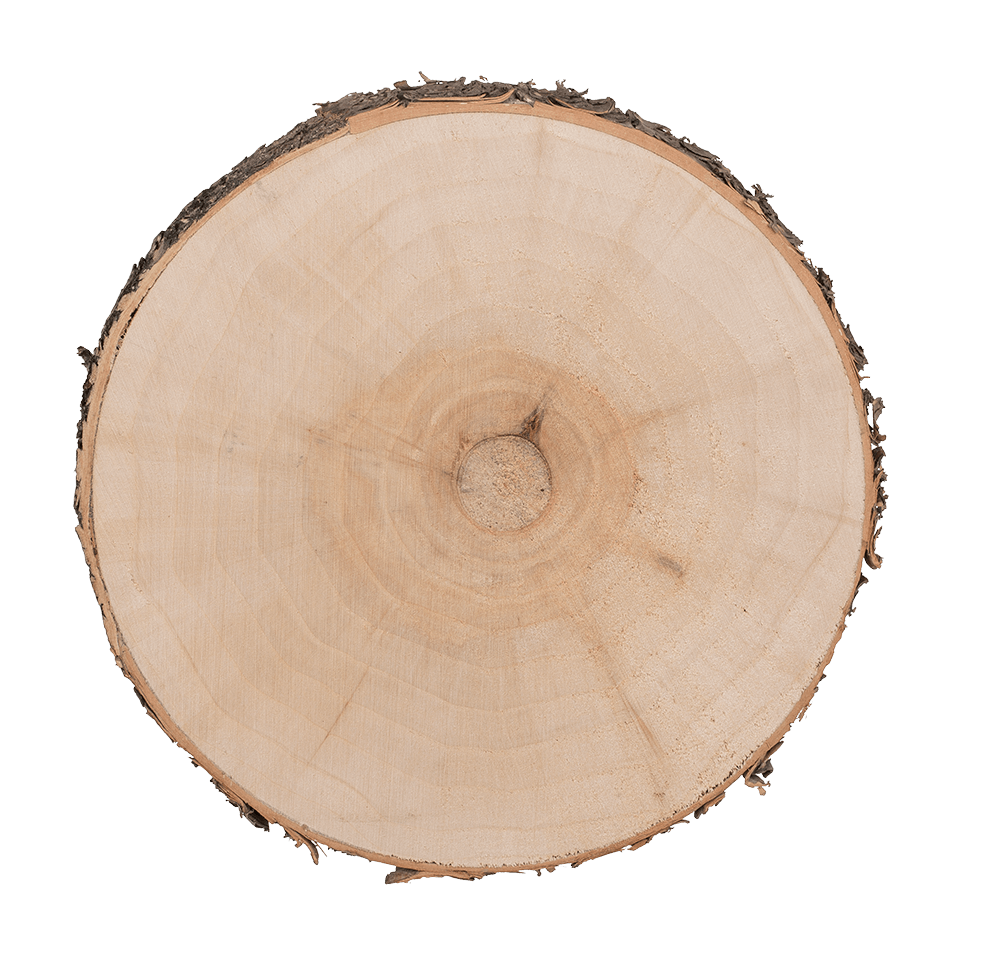 Wooden decoration slice,