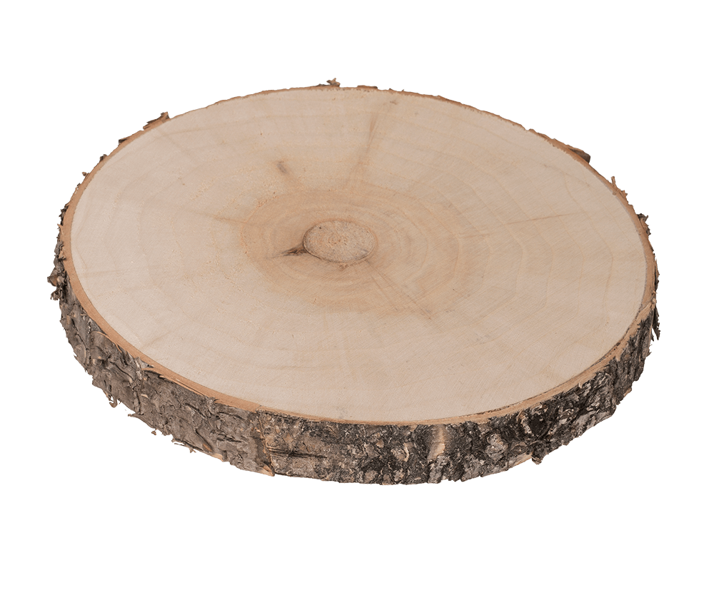 Wooden decoration slice,