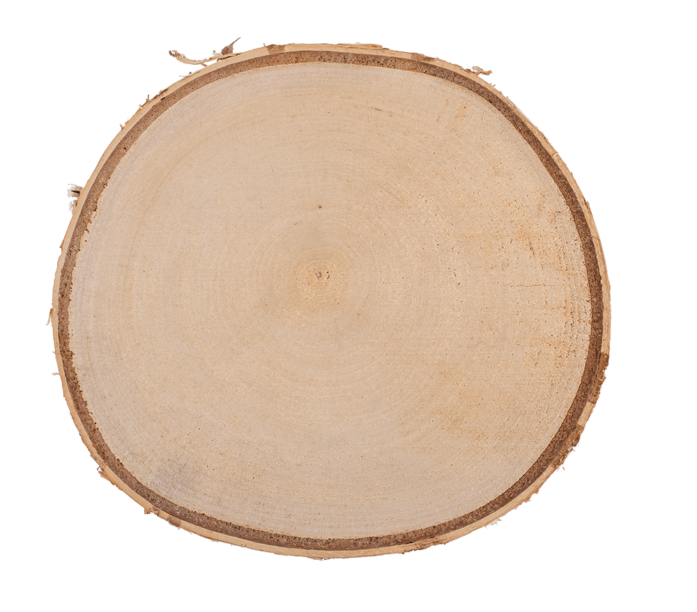 Wooden decoration slice,