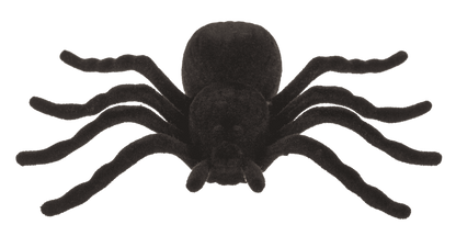 Spiders, 10,5 x 7 cm,