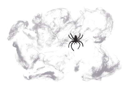 Spider web set,