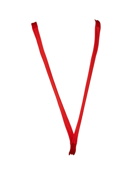 Man Swimsuit, Christmas Mankini,