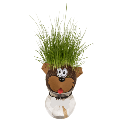 Animal Grass head,