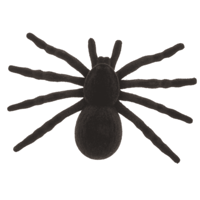 Araignée, 10,5 x 7 cm,