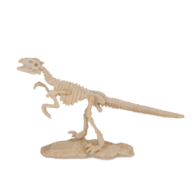 Ausgrabungsset, Dinosaurier Skelett,