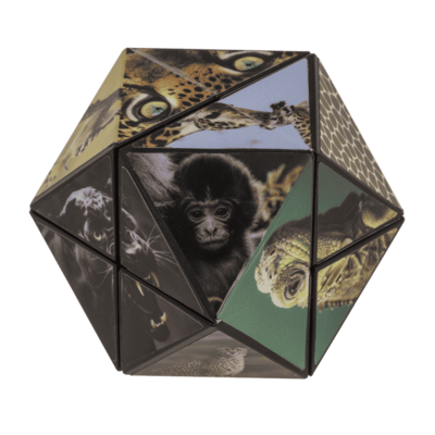 Boundless Cube, Wild Animals,