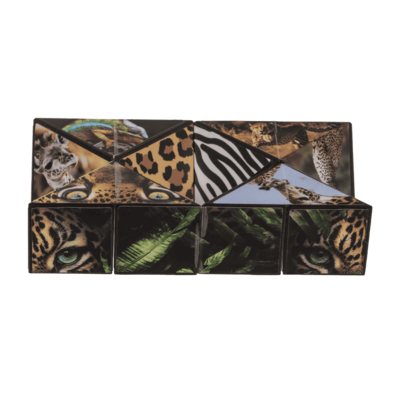 Boundless Cube, Wild Animals,