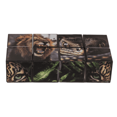 Boundless Cube, Wild Animals,