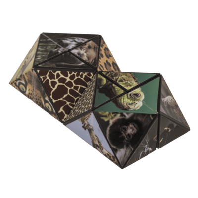 Boundless Cube, Wild Animals,