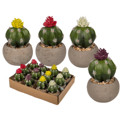 Cactus decorativo en maceta de cemento,