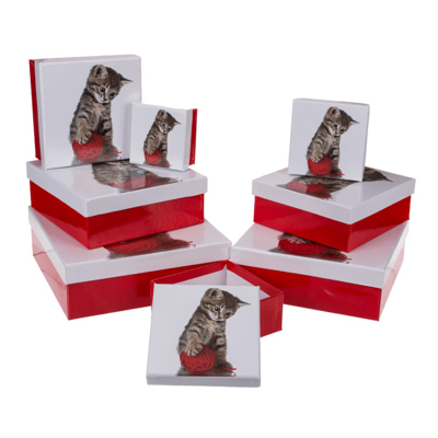 Cajas de regalo rojo/blanco, Gato,
