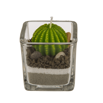 Candela, Cactus in vaso di vetro con sabbia &,